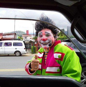 tn7-video-puchito-110720