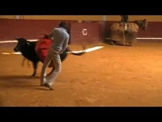 La tienta de vacas, labor fundamental