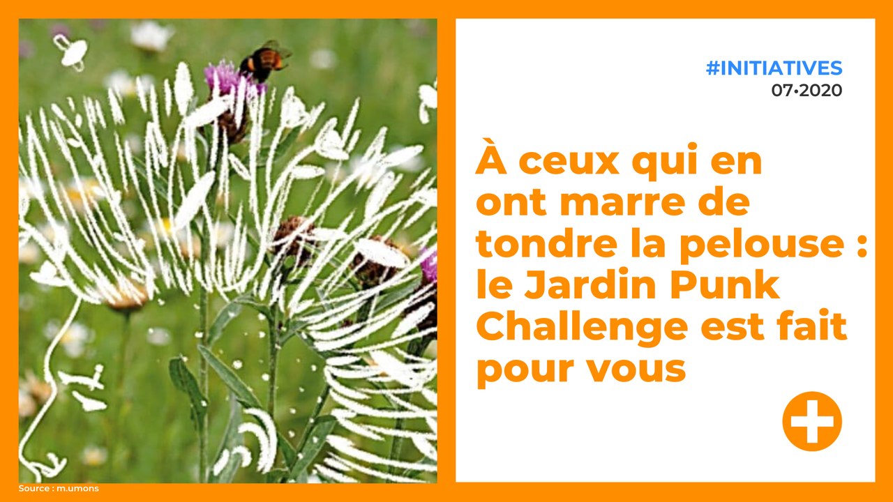 À ceux qui en ont marre de tondre la pelouse : le Jardin Punk Challenge est fait pour vous