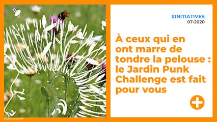 À ceux qui en ont marre de tondre la pelouse : le Jardin Punk Challenge est fait pour vous