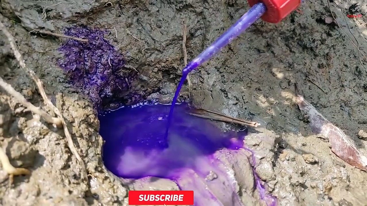 Unbelievable Oil Fishing | Boy Catching Eel From a Hole With Fishing Oil