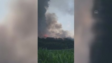 Cuatro muertos y 97 heridos tras la explosión en una pirotécnica de Turquía