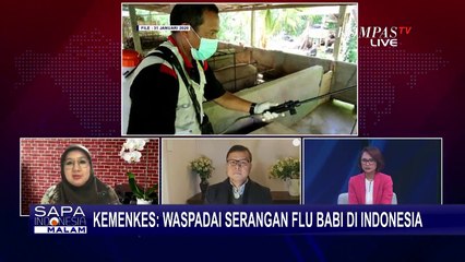Waspadai Potensi Serangan Flu Babi di Indonesia