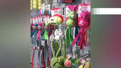 What are your plans this weekend?