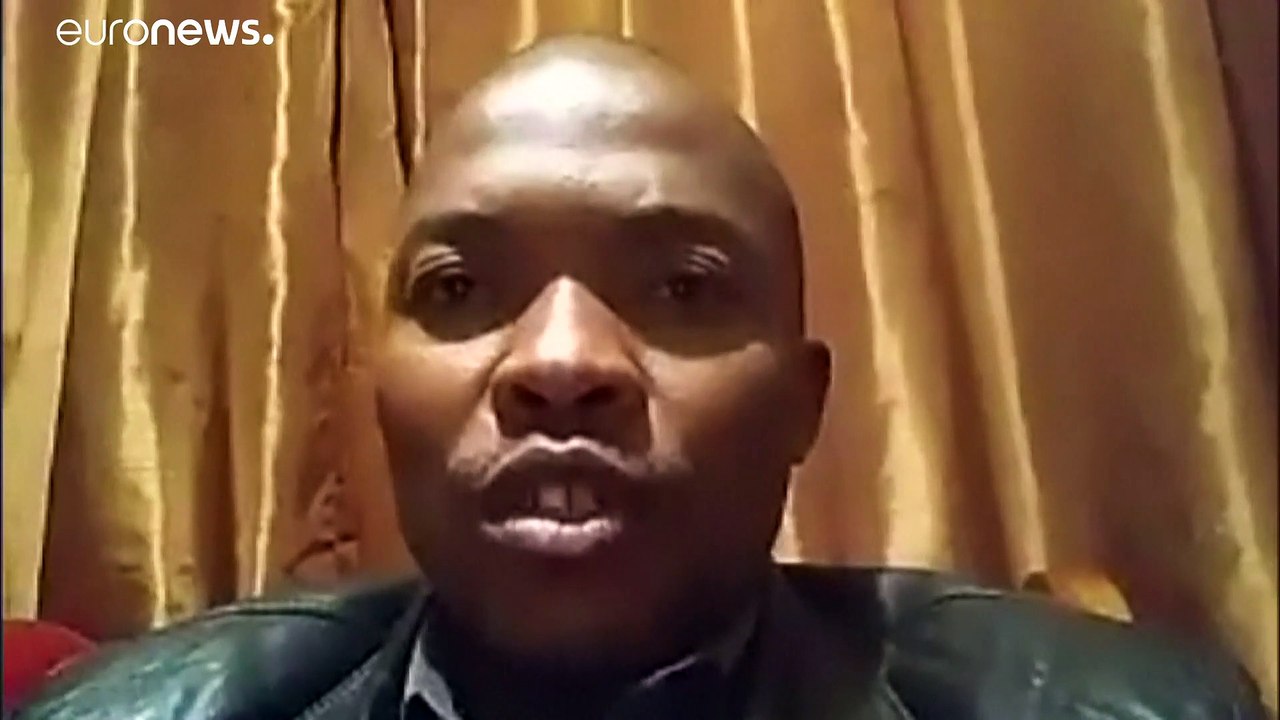 In Botswana sterben massenhaft Elefanten - keiner weiß warum