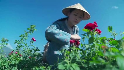 Rose sauce-the unique sweetness