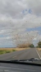 Il croise la route d'une tornade de poussière géante sur une route de l'oregon