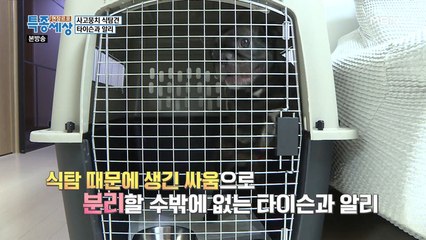 엄청난 식탐으로 인해 식사 때 분리 조치까지?