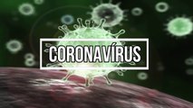 CORONAVÍRUS - O que é, riscos e biologia de um vírus