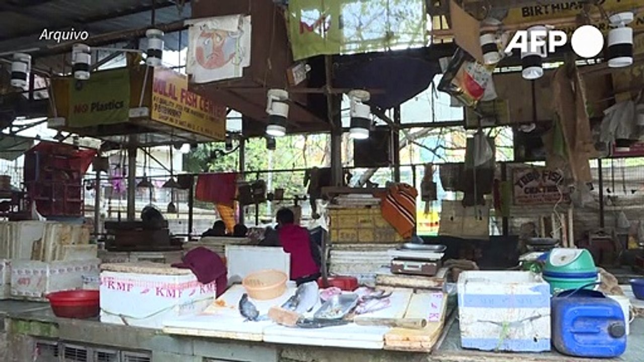 China vai banir sacrifício de aves vivas nos mercados