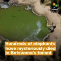 Mystery Death Of Elephants in Botswana