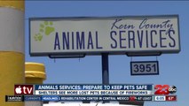 Animals Services: Prepared to keep pets safe