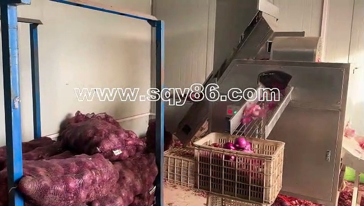 World Leading Onion Skinning Peeling Machinery Equipment