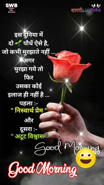 Fullscreen WhatsApp Status Video | Good Morning Status | Shayari Status | good morning shayari video