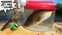 Catching Exotic FISH for Aquarium PET