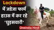 Ravindra Jadeja shares Horse Riding Video on Instagram during Lockdown, Watch Video | वनइंडिया हिंदी