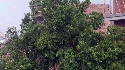 कानपुर में बारिश शुरू, गर्मी से मिली बड़ी राहत