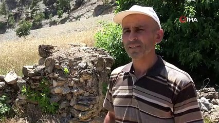 Bu esrarengiz kuyuya yaklaşan canlılar ölüyor