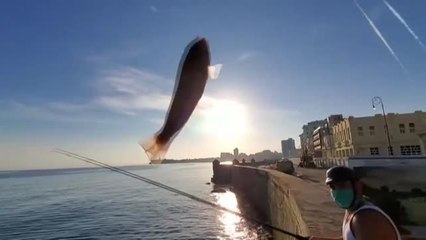 La Habana inicia su particular desescalada sin turistas