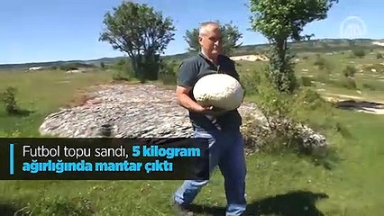 Futbol topu sandı, 5 kilogram ağırlığında mantar çıktı