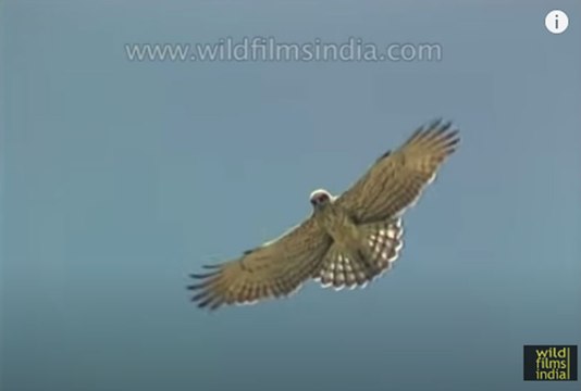 A Trek to Dodital Lake, Uttarakhand