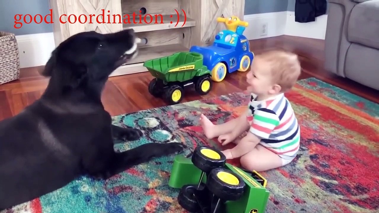 Cute Dogs and Babies are Best Friends - Dogs Babysitting Babies Video