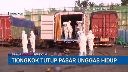 Tải video: Terkait Penyebaran Virus Corona, China Akan Tutup Pasar Unggas Hidup