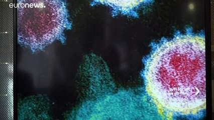 Museu Nobel reabre com exposição dedicada às pandemias