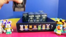 Disneyland Disney 60 Vinylmation Surprise Toy Opening Complete Case