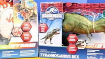 Jurassic World Indominus Rex Hybrid Battles Tyrannosaurus Dinosaur Eats Imaginext Batman Superman