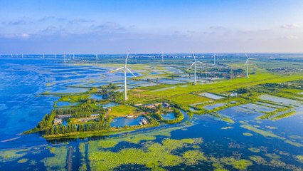 Could a green recovery create jobs and reduce extreme poverty? | Counting the Cost