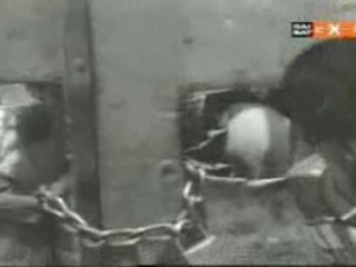 Calabrese Folk - Muttetta della Mafia