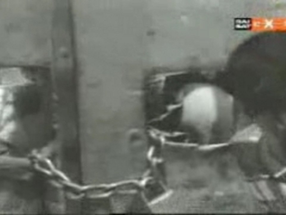 Calabrese Folk - Muttetta della Mafia