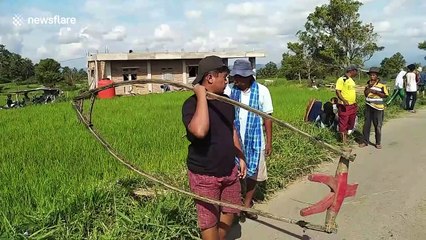Bull racers resume training in Indonesia after lockdown eases