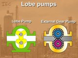Process Technology_ Lobe Pumps