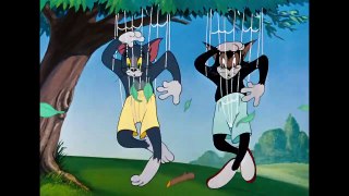 Tom & Jerry - Best of Butch - Classic Cartoon Compilation - WB Kids