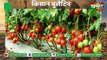 Kisan Bulletin : HDFC Bank Launches 'e-Kisaan Dhan' app for Farmers | Rural Banking : Agri Needs | Grameen News