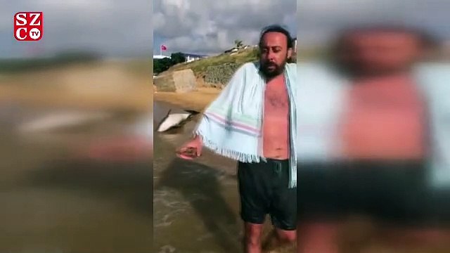 Ölü yunus balığı Kilyos sahiline vurdu!