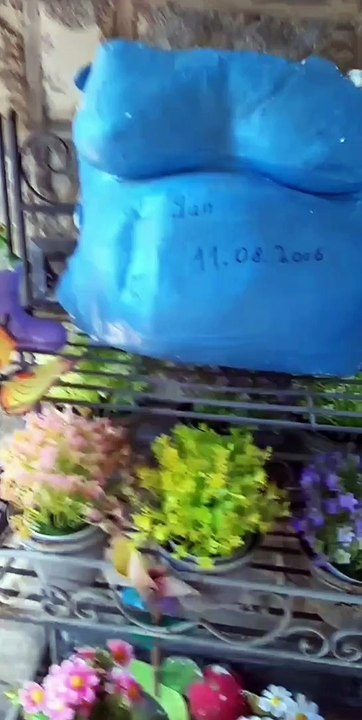 Babybauch bekommt Style Corona Tag 109