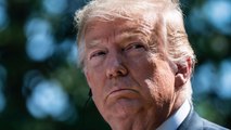 Trump Honors Independence Day By Snarling At 'Dangerous Movement'