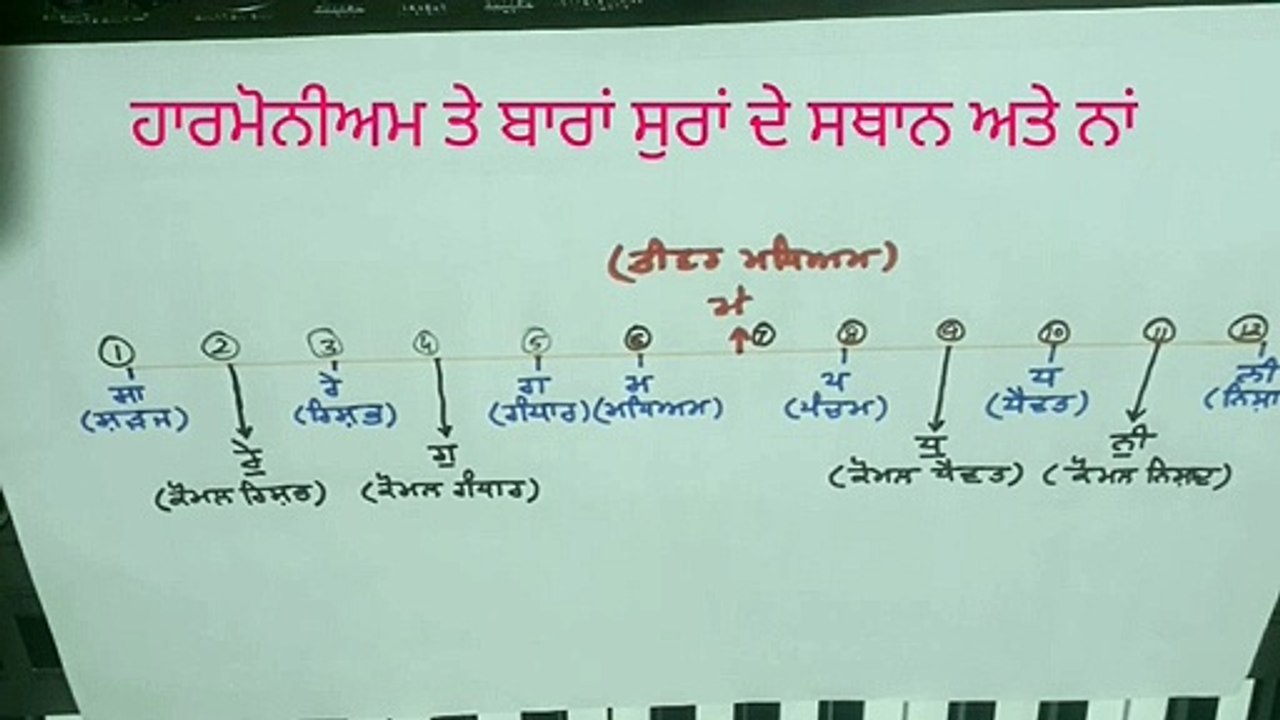 HARMONIUM TE SURAN DA STHAN (DIFFERENT SCALE)