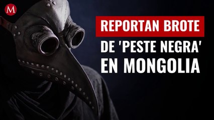 Reportan brote de 'peste negra' en Mongolia; qué es y cuáles son los síntomas