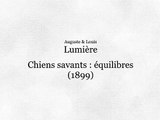 Chiens savants, équilibres (Perros eruditos, equilibrios) [1899]