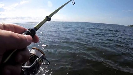 Lake Michigan Smallmouth Fishing
