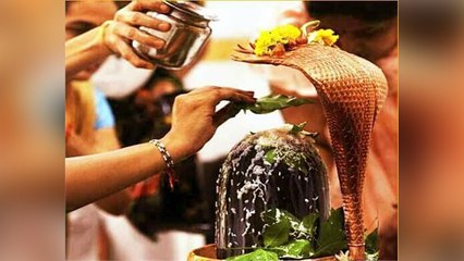 Sawan 2020: सावन में रुद्राभिषेक के लिए 'पंडितों' ने जारी की गाइडलाइन, आप ऐसे करा सकेंगे पूजा