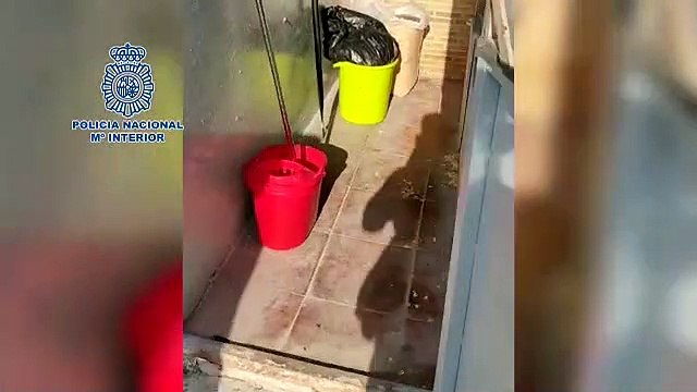 Rescatados 17 cachorros en pésimas condiciones de un criadero ilegal
