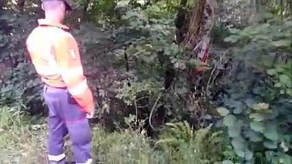 Extracción del vehículo accidentado en Santesteban, en el que ha fallecido una persona