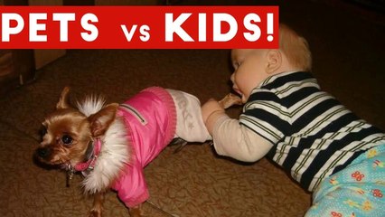 Funniest Pets Vs Kids Video Compilation December 2016 _ Funny Pet Videos