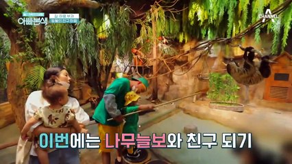 "산은 산이오~새는 새로다~♩" 둘러싸인 새들 사이에서도 겁 1도 없는 하음이?