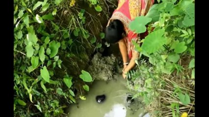 amazing fish caching video in India P4. woman fish catching in the beel from Bangladesh.